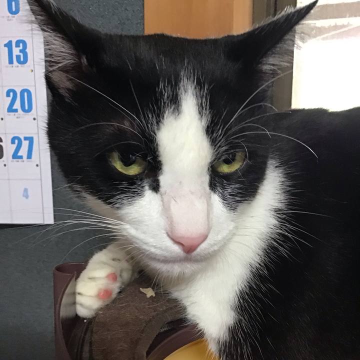 86b2a03a bde8 42d8 8468 a4b450bf752c 1757676343077