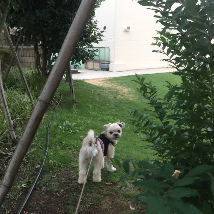 86b2c7db 8e0a 44cd 8e7a 6d8905a19134 1533380565301