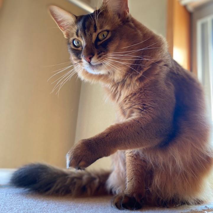 86b2e2e4 939a 49d9 8de8 bfd96158b989 1635918927728