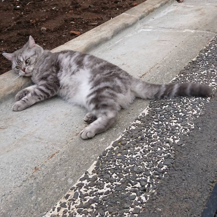 86b304f7 e6cc 4a2f b064 b635f1278e18 1532842072889