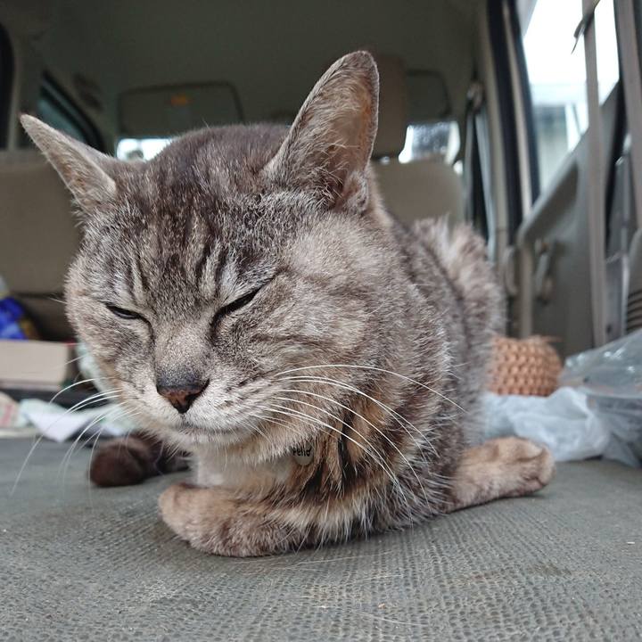 86b30b20 ce3a 478b aa9a 1d39ea2fdad8 1591822127170