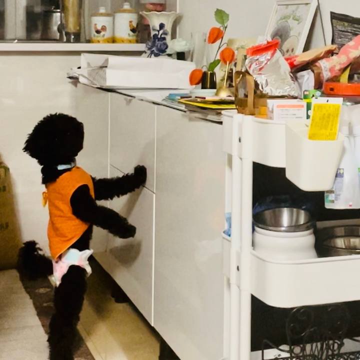 86b31202 f639 47b4 9722 7ff9543deddb 1691922303811