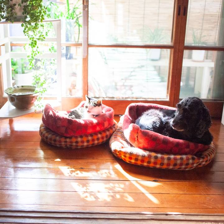 86b37e23 2589 4657 b176 152c9b73e75f 1605353443102