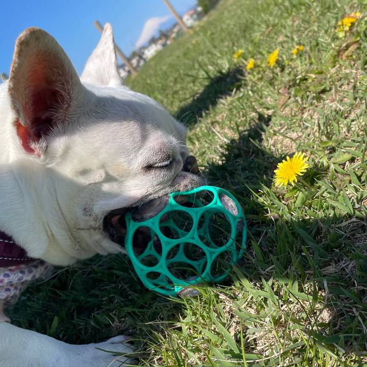 86b3b005 9b7d 4789 a180 75db17afc584 1744765038827