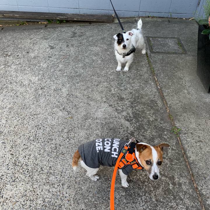 86b3ceb1 8704 4444 bda2 36f2b8522105 1554447958445