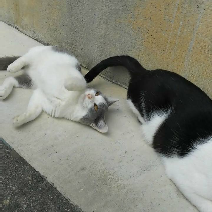 86b432cd 4569 43a0 8261 969f304f4efd 1513726385985