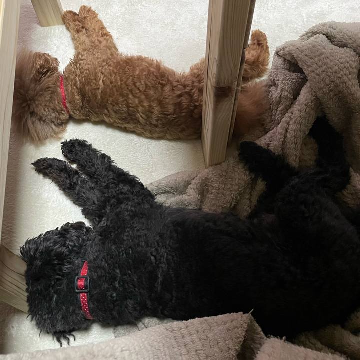 86b48714 168b 4a4b bd49 e46e32a18241 1641882687427