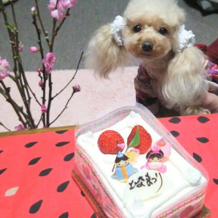 86b48b99 432c 4e12 af57 33c7fc23adb1 1551616354570