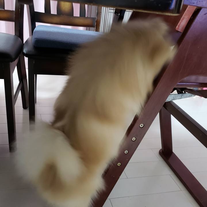 86b4a7b3 ae75 4e80 9715 2151c632126d 1626062332082