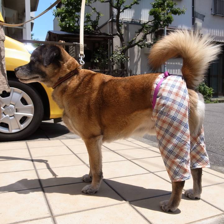 86b4a82c a269 4db1 8d27 5582daed5ee8 1607561480812