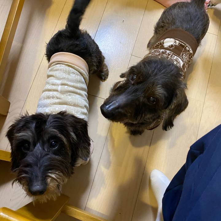 86b4ba88 3017 4d5f b010 0da19207b127 1609517413002