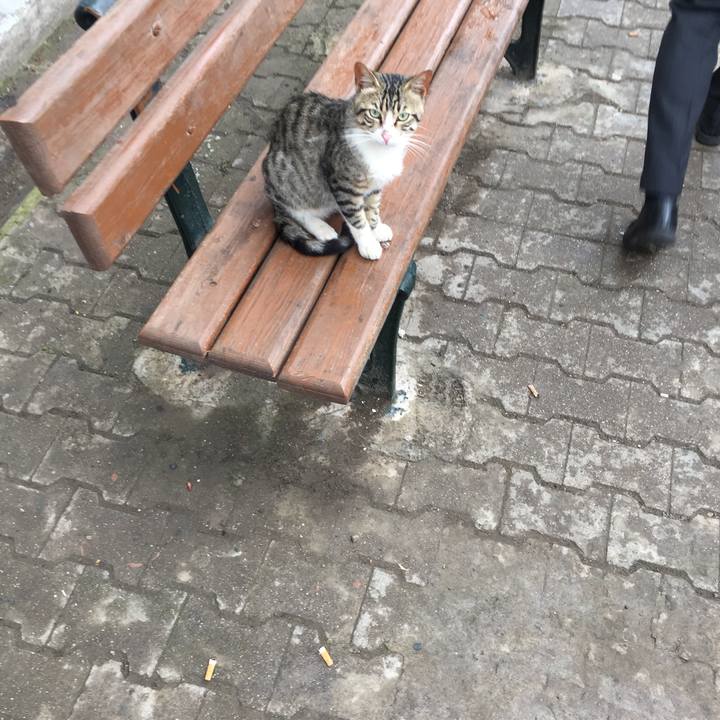 86b4d56e 64f3 48ca 80bb 8c54a097f785 1524689703268