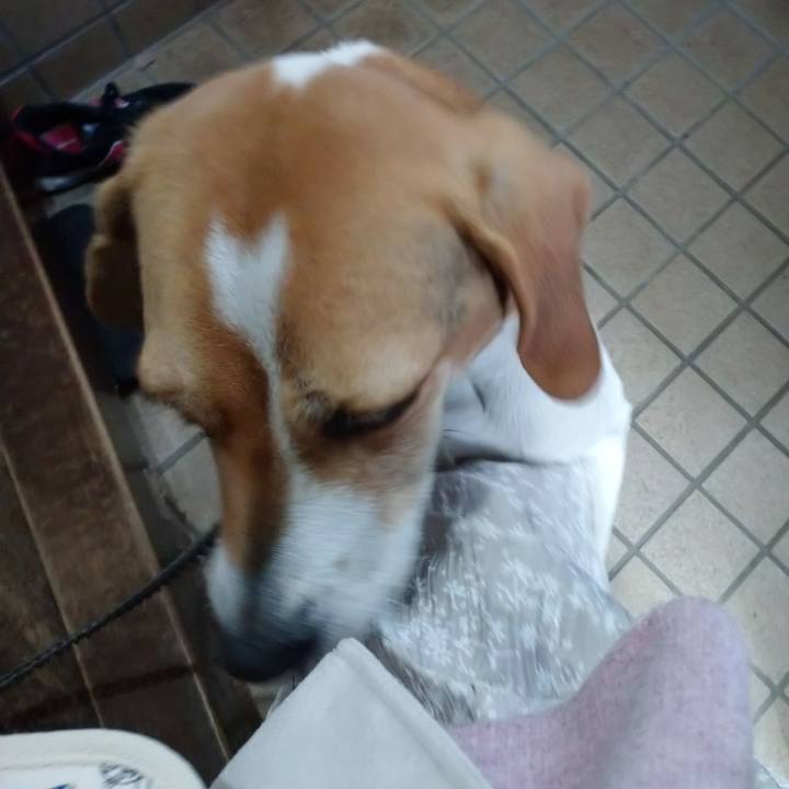 86b4f9a4 50a3 4bef be33 3a10764ccc8b 1586664387522