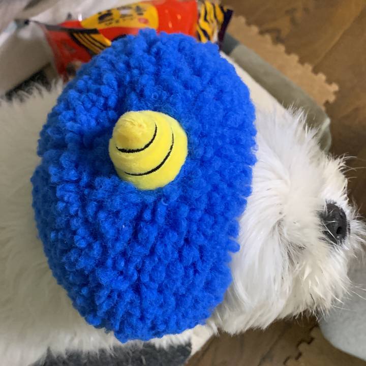 86b509e5 ad09 4c8a ac4e ca6961aed174 1643886846939