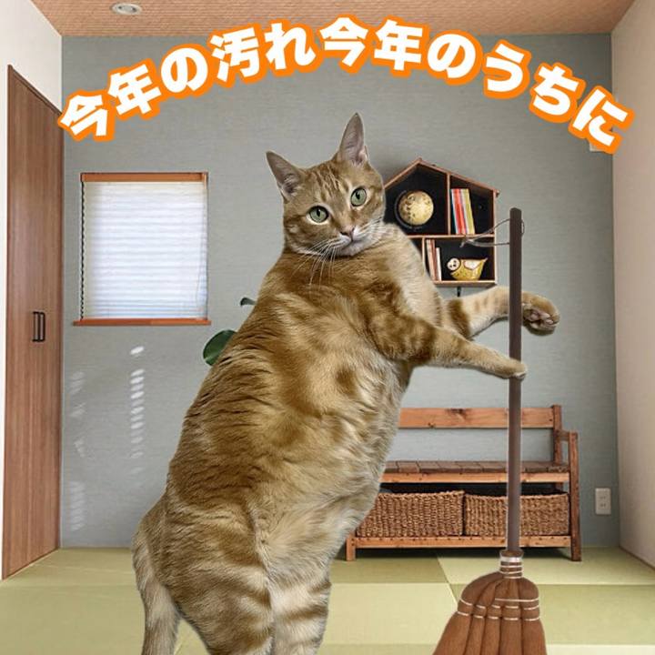 86b55fc3 1bdb 4b58 9c0e eac5b88ab0b1 1703541171008