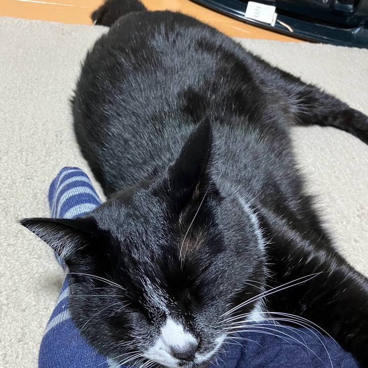 86b58c6e 0f2f 4f48 95fc cfd0cabc5326 1706067504733