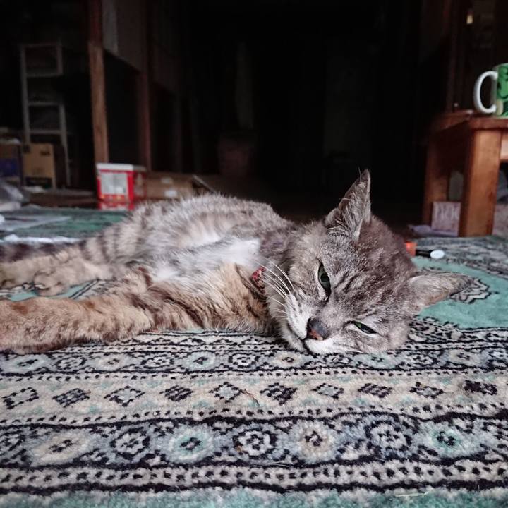 86b58ee2 bc75 46ae ae10 1ea18da06539 1598734227851