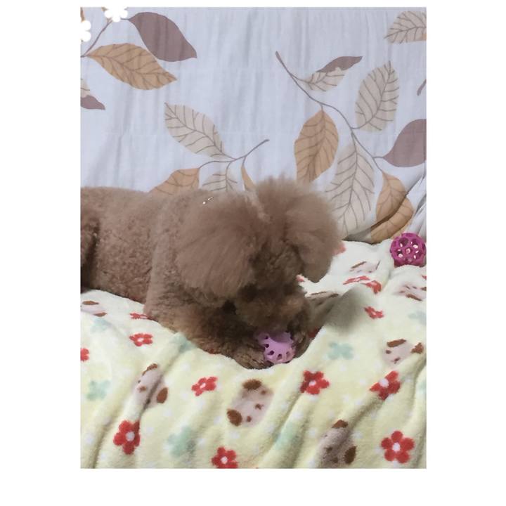 86b5b26f d999 4434 ab26 91c77b453e66 1525644213055