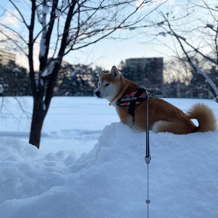 86b5c234 4721 4532 bf28 3c3daf01cd65 1611534241665