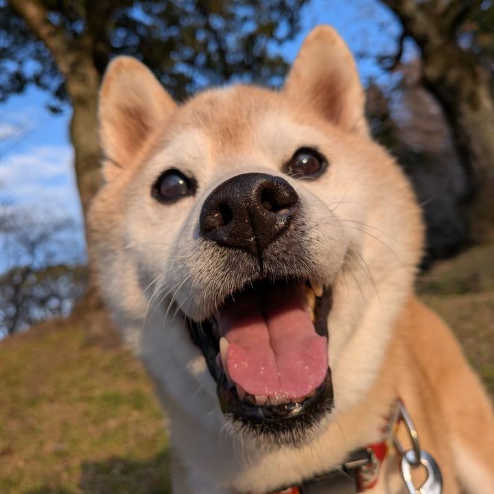 86b5d4be b568 4199 9418 6ac317b0b4f1 1773319261099