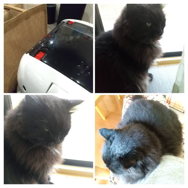 86b5e82f bf20 4ecb b849 5551654926e0 1689547040444