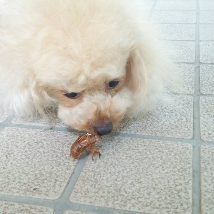 86b60057 7938 4433 90fc dcd1a0788fec 1532406893842