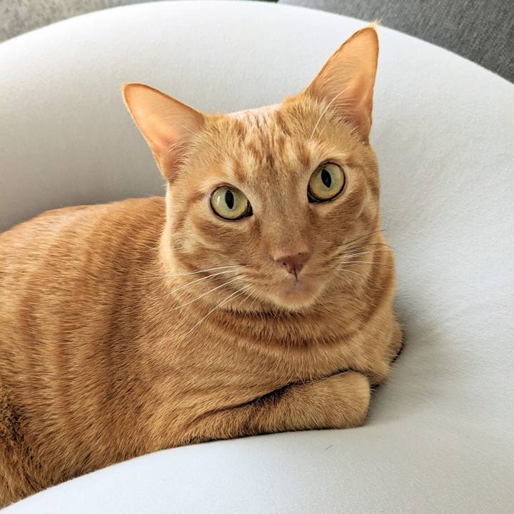 86b66cb5 6032 44ca 91d8 39e14261cfc9 1672377150595