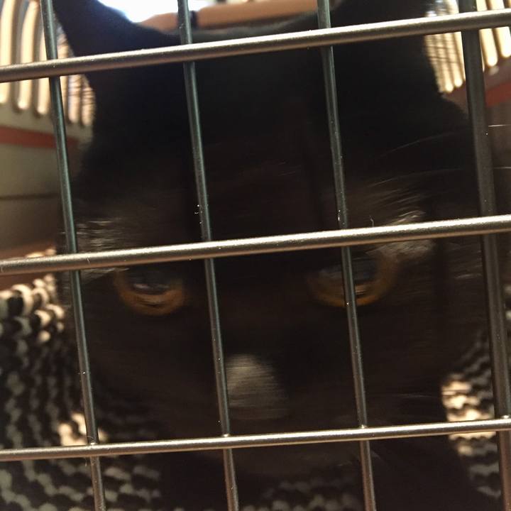 86b66fc6 bdcd 46dc a7a5 e8f5447e9fe2 1547885745413