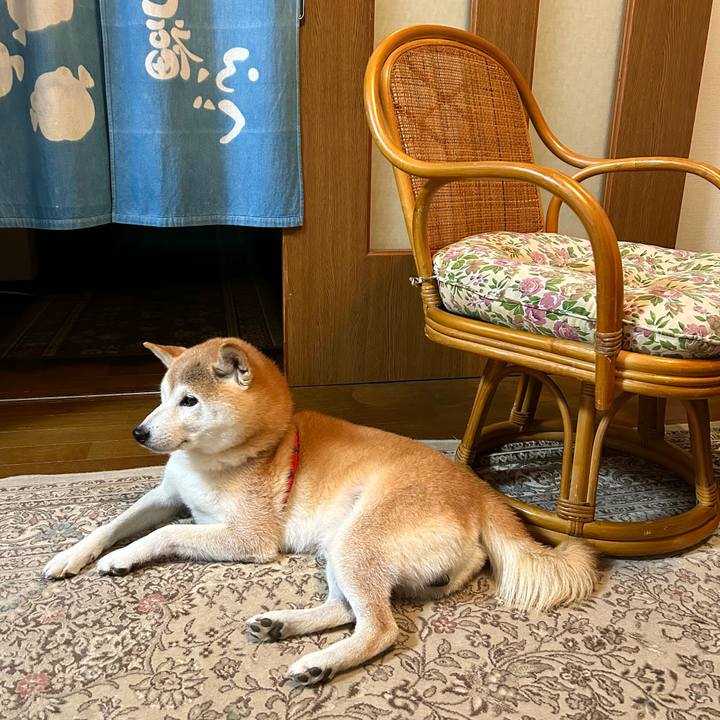 86b67a30 6d52 41e6 a53c 72169f3e2b2e 1732275051702