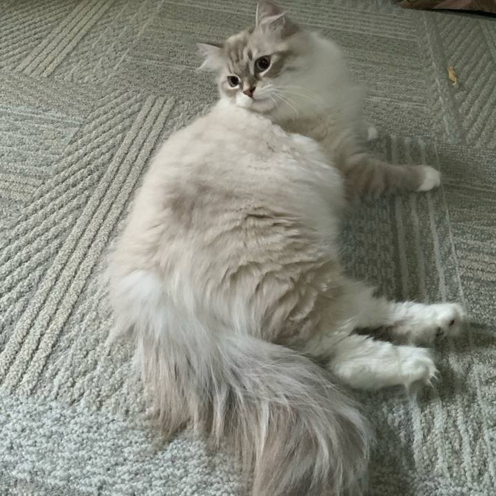 86b697b5 d97b 4efa 96ed a2a70924dc2a 1694005446481