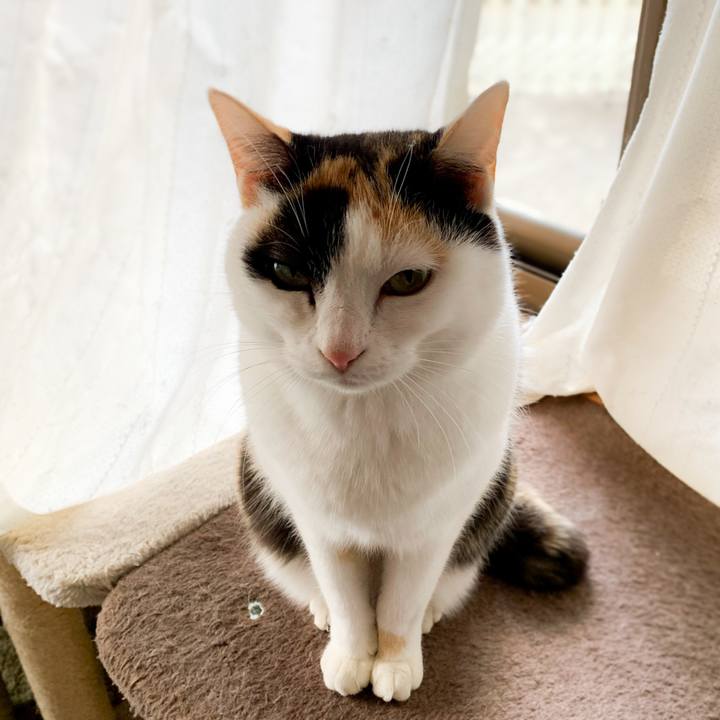 86b6acba dffe 41da 90d2 af508cbbafaf 1583287452098