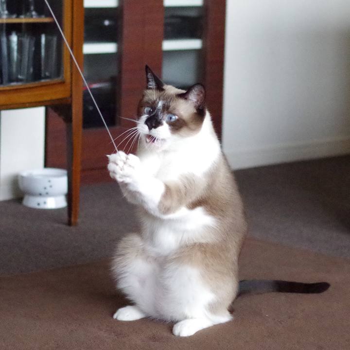 86b6c92d 6c51 41de aa1e e8342e3f8f68 1529991916240