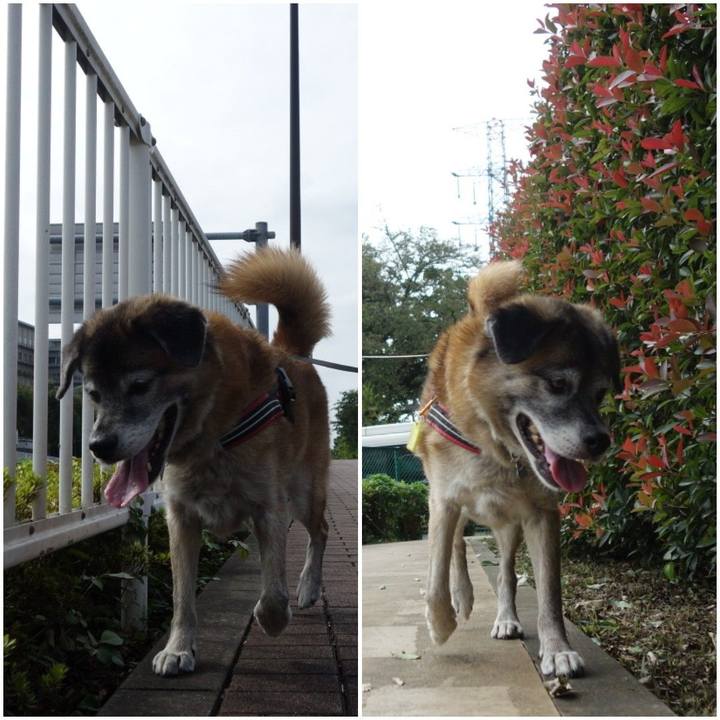 86b6ce10 bd70 41b7 800d 5b5c95d2889b 1568507951538