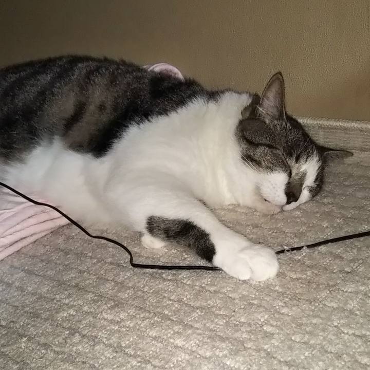 86b6fd6b dd1a 4887 9fbf e9100c056c80 1624459002523