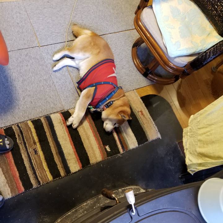 86b71748 7ea0 48be 85c2 f54e3458e5bd 1552691421250