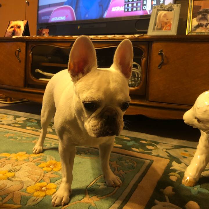 86b76edb 843e 4004 bd66 b7098199ac12 1663916932929