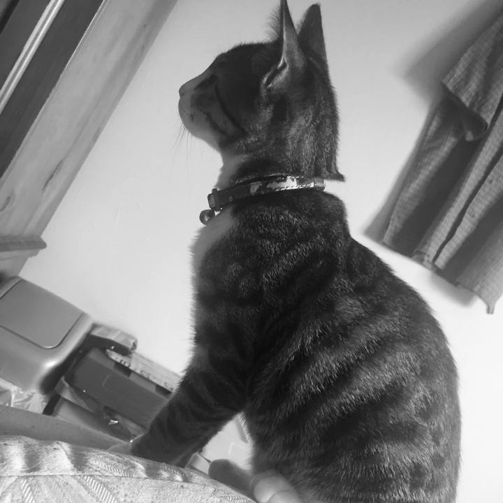 86b8350e fe3a 44b5 b3d3 992b2807261a 1664325138687