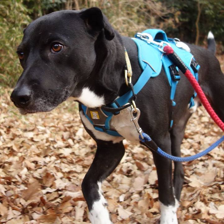 86b83aef a3db 4e18 98ef c811a98465cf 1609893528025