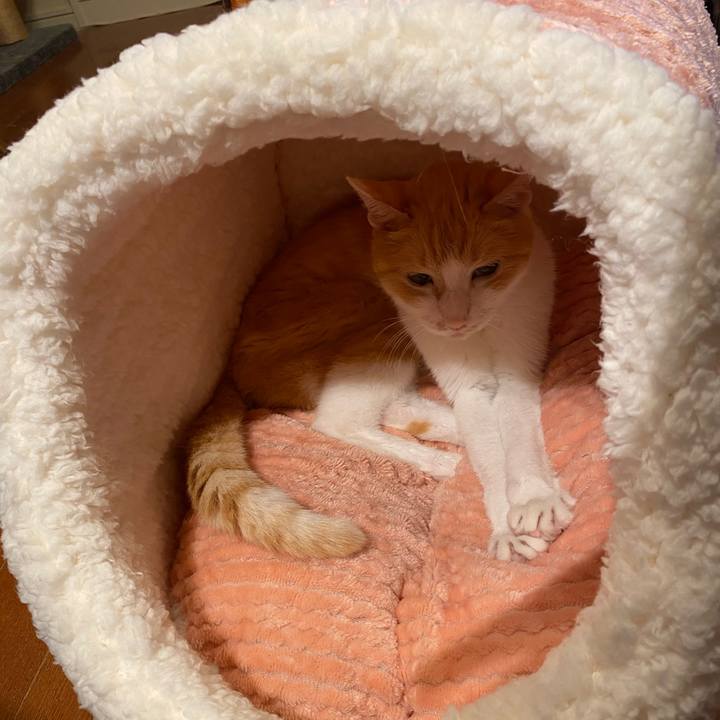 86b8849b 5f8b 4cd1 81ed cd40c4b2fbb6 1759293508730