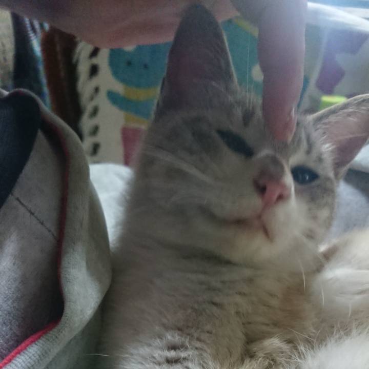 86b895e1 fde4 4894 b219 053c99691739 1526312098527