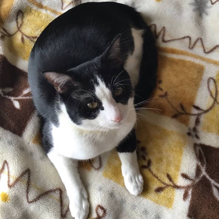 86b8aa3a 4602 4647 9b1a a059938218ad 1648531246308