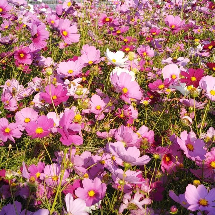 86b8ad1b c56b 4ed5 80b3 db2d77bfadfd 1603031622889