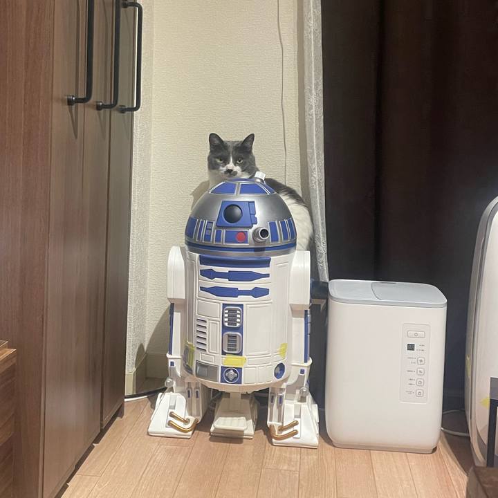 86b8bb2a fc52 4f50 8f14 18d32a1de844 1653397271201