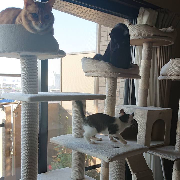 86b8ce0b 47f6 4610 8a76 cbbf519ed430 1540511422745