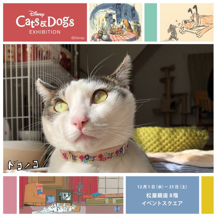 86b8ee6f a42b 449d 85da 121d89b84151 1638440022198