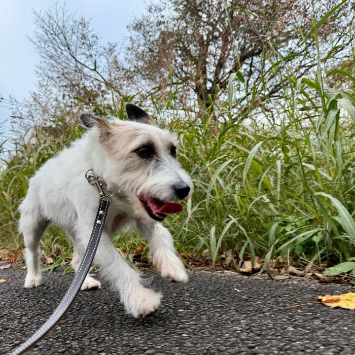 86b90c4e f08b 417e b6e9 076e92fbe9cc 1762459446657