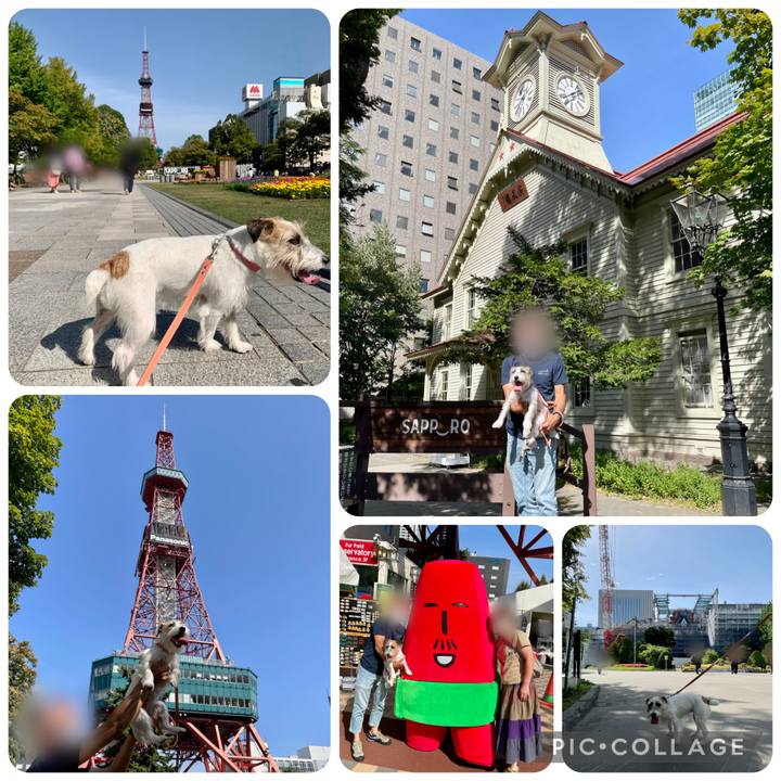 86b90cb3 e88f 4382 a35a b4b4b8e171ee 1663253751052