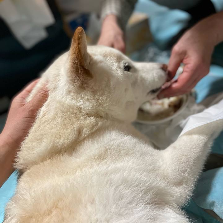 86b92808 96f0 496b 960a 78d418a5cfe0 1645192006459