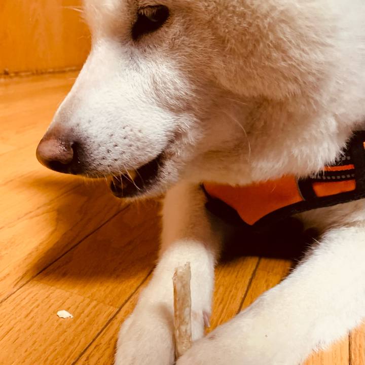 86b94540 0634 49d7 8a95 e1cc091c2355 1617695576408