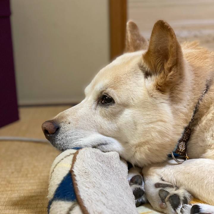 86b9b556 6865 477a 9ffb 2f354f0e5720 1583928933930